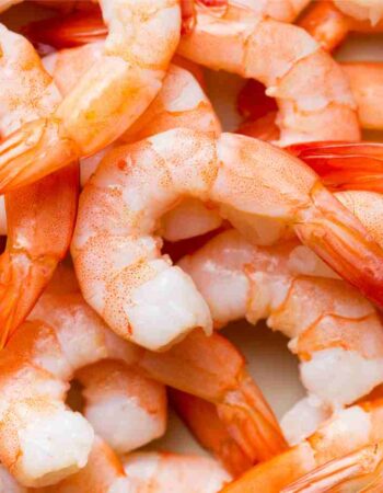 shrimps_02